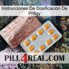 Instrucciones De Dosificación De Priligy new13